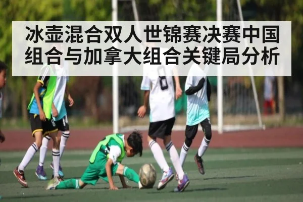 冰壶混合双人世锦赛决赛中国组合与加拿大组合关键局分析